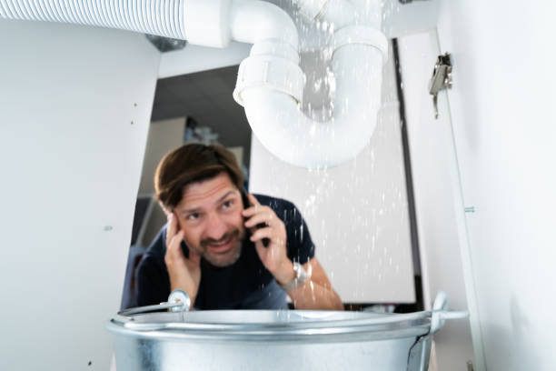 Best Local Plumber Services  in Rlsbad, CA